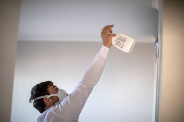 Best Mold Testing  in Nassau Bay, TX